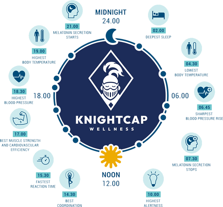 KnightCap working with your circadian Rhythm